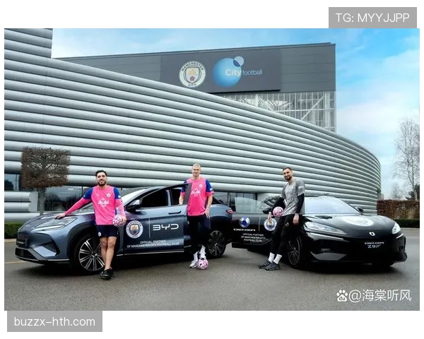 居莱尔赛场表现稳定性不足的具体成因深度分析